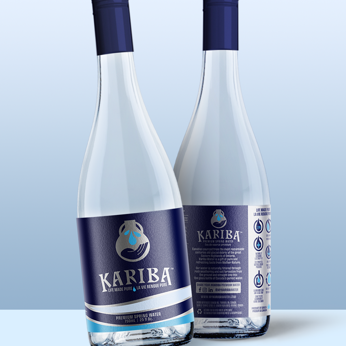Premium Still Water - 750 mL Bottle