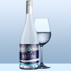 Premium Carbonated Water - 750 mL Bottle